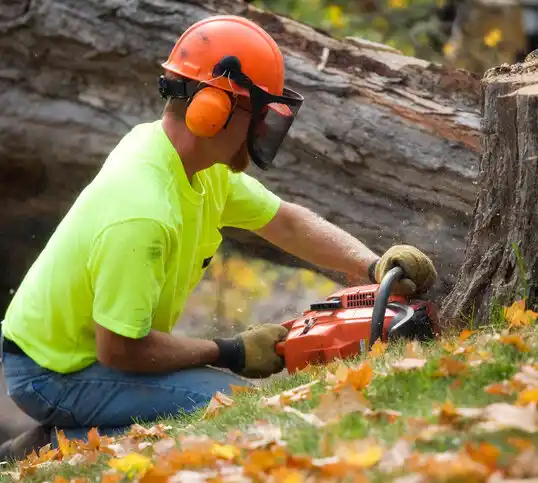 tree services Kentwood